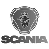 логотип Scania Group